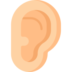 Foratura orecchie